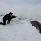 Antarctica (4)